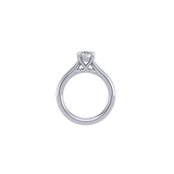 Andromeda Ring II