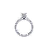 Andromeda Ring I